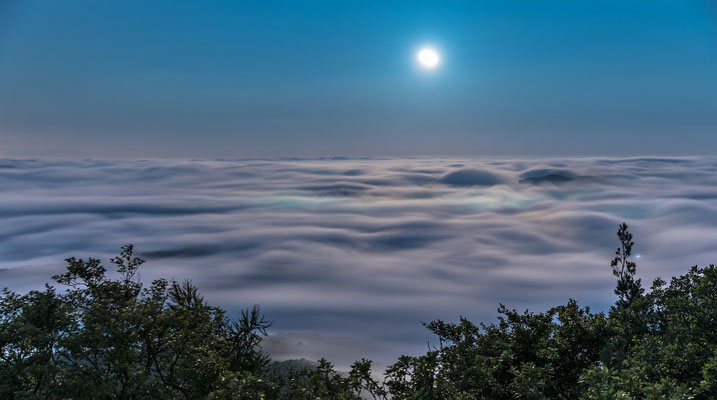 Neblige Mondnacht am Rehbergturm