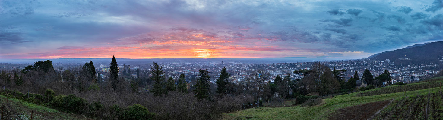 Sonnenaufgang über Neustadt