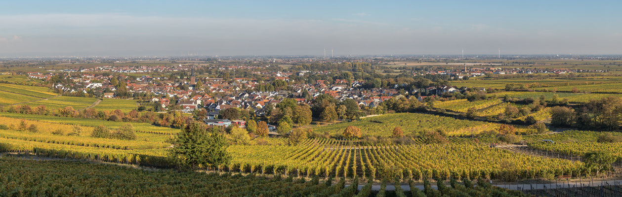 Panoramaaufnahme Deidesheim