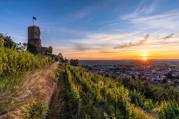 Sonnenaufgang an der Wachtenburg