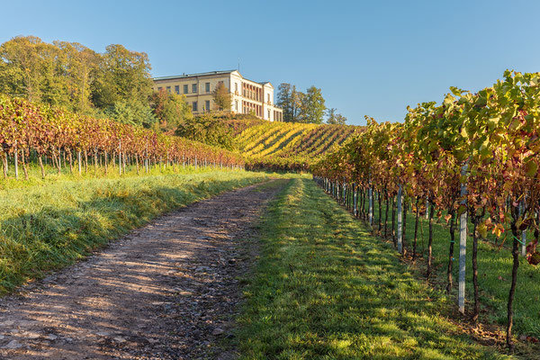 Herbststimmung an der Villa Ludwigshöhe, Aluminium-Wechselrahmen, Fotodruck auf hochwertigem Hahnemühle-Papier mit Passepartout, 70 x 50 cm, 130 €