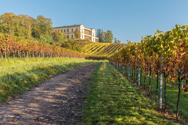 Herbststimmung an der Villa Ludwigshöhe, Aluminium-Wechselrahmen, Fotodruck auf hochwertigem Hahnemühle-Papier mit Passepartout, 70 x 50 cm, 130 €