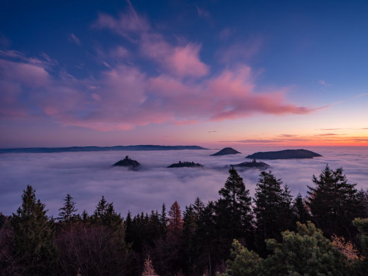 Nebelmorgen am Rehbergturm