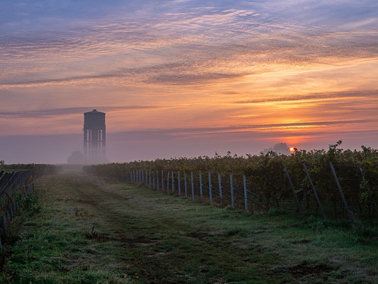 Sonnenaufgang bei Duttweiler