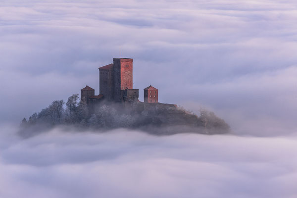 Burg Trifels erhebt sich über den Nebel