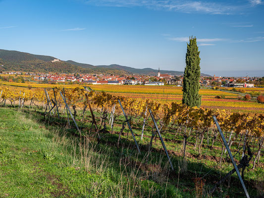 Blick auf Maikammer und Hambacher Schloss