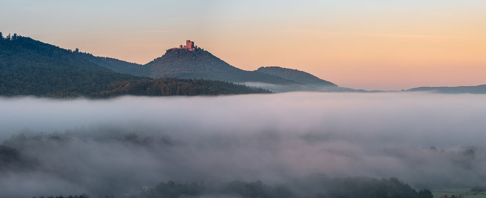 Blick zum Trifels an einem Nebelmorgen