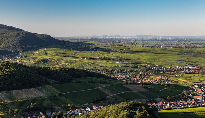Blick nach Norden über Rheinebene bis zum Odenwald
