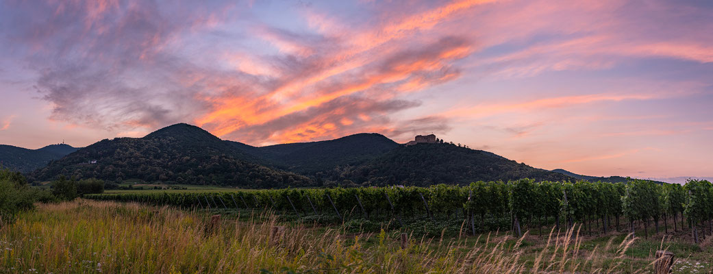 Abenddämmerung am Hambacher Schloss