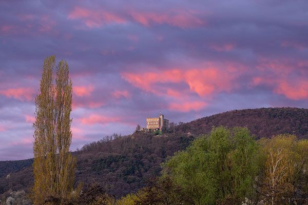 Morgenröte am Hambacher Schloss