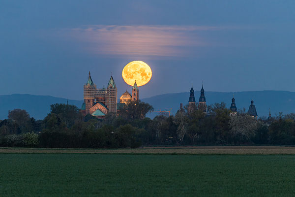 Vollmonduntergang hinter dem Speyerer Dom