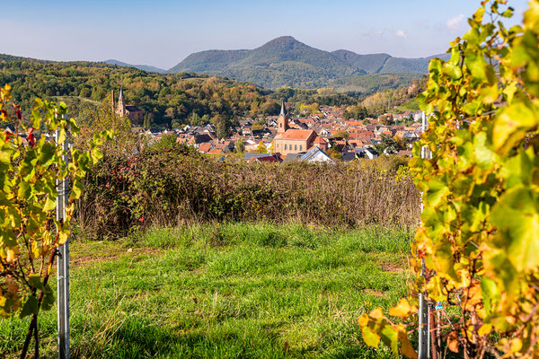 Goldener Herbst bei Albersweiler