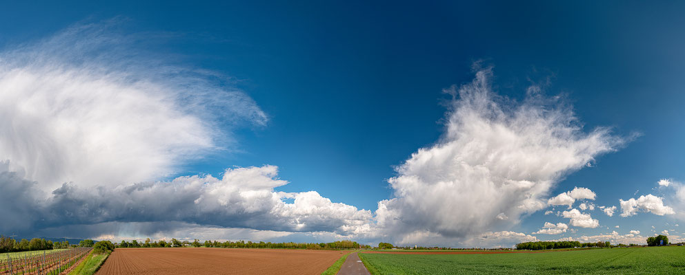 Gewitterwolken bei Lachen-Speyerdorf