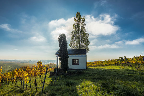 Am Sonnentempel bei Maikammer