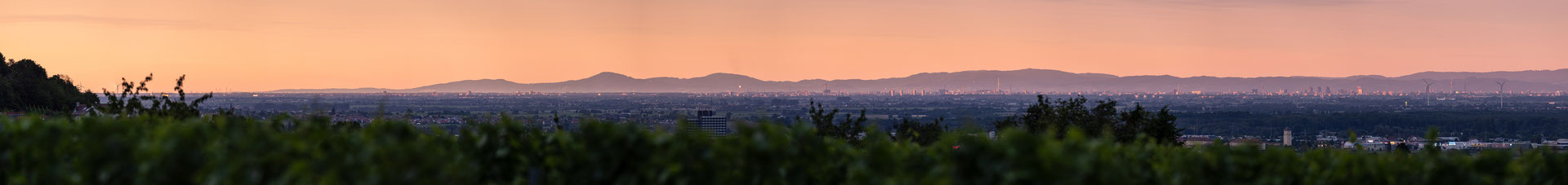 Abendstimmung bei Maikammer