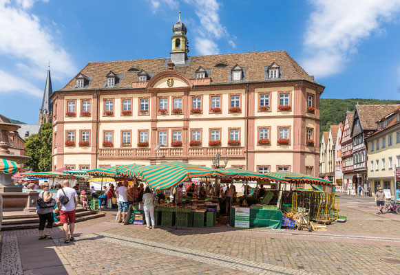 Marktplatz in Neustadt mit Rathaus