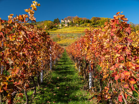 Goldener Herbst bei Sankt Martin