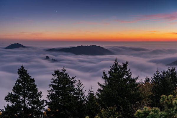 Nebelmorgen am Rehbergturm