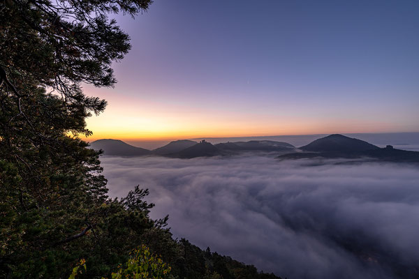 Herbstnebel am Sommerfels