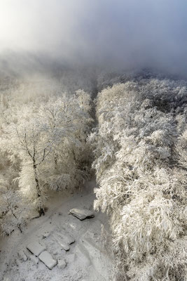 Neblige Schneelandschaft am Luitpoldturm