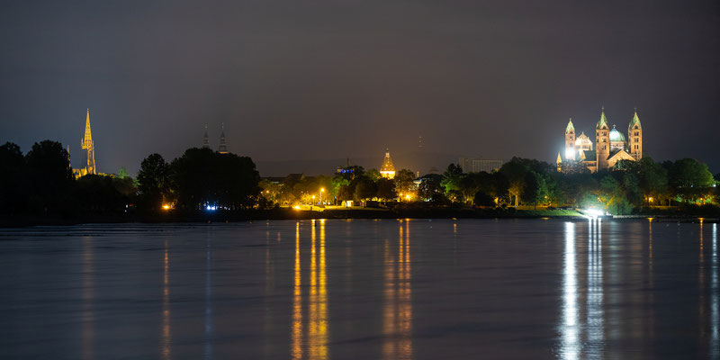Panoramablick über Speyer und Rhein
