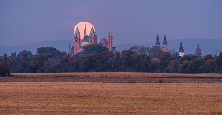 Vollmonduntergang hinter dem Speyerer Dom