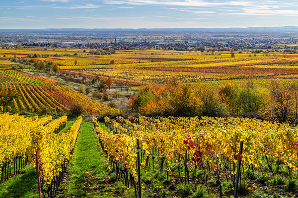 Herbststimmung um Sankt Martin