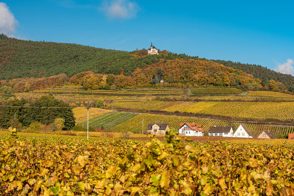 Herbst bei Burrweiler