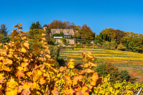 Goldener Herbst bei Sankt Martin