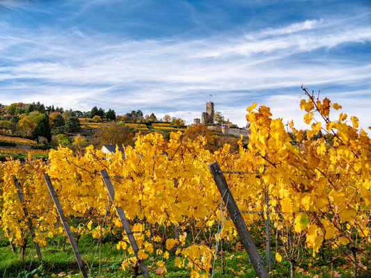 Herbstliche Wachtenburg