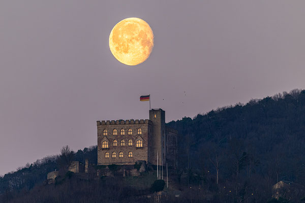Morgendlicher Monduntergang hinter dem Hambacher Schloss