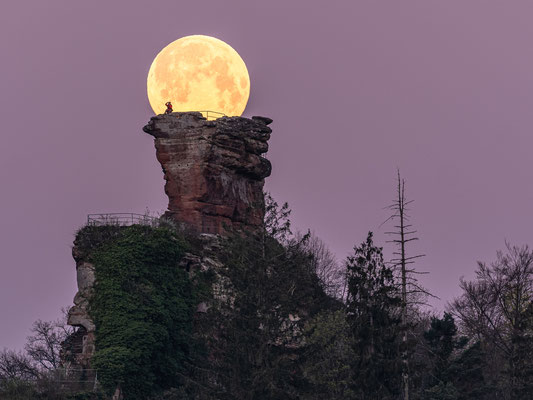 Vollmonduntergang hinter der Ruine Drachenfels