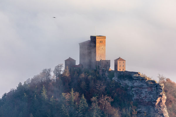 Herbststimmung am Rehbergturm