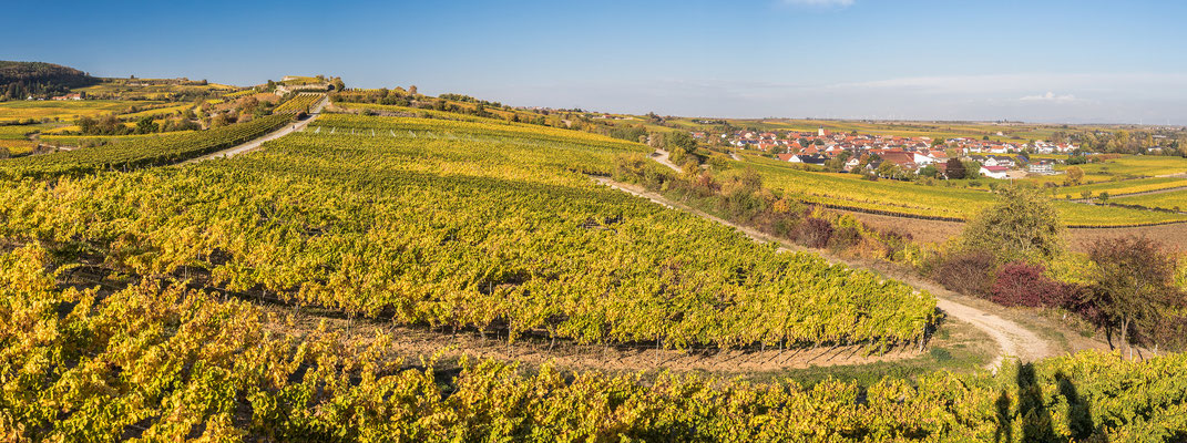 Der Michelsberg im herbstlichen Gewand