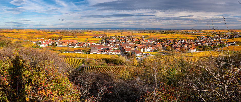 Kallstadt im Herbstkleid