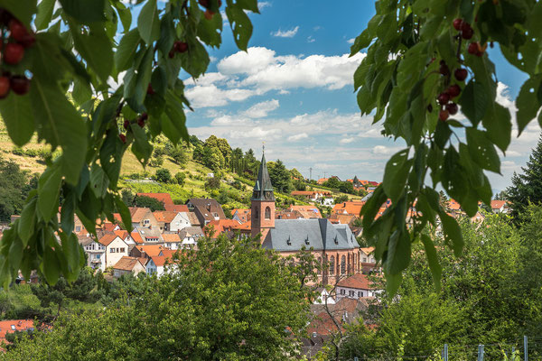 Ausblick auf Sankt Martin