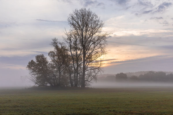Herbstmorgen in den Lochbuschwiesen
