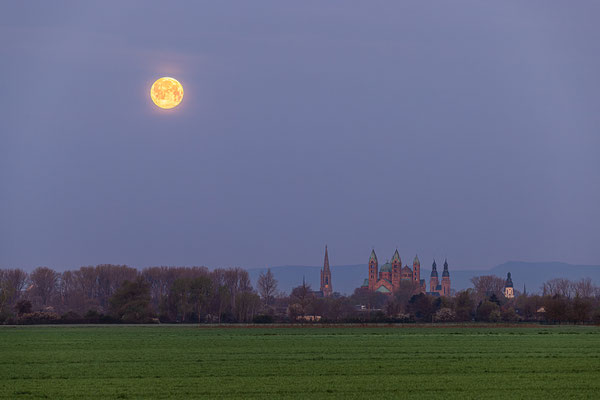 Vollmonduntergang hinter Speyers Kirchen