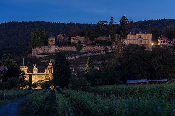 Blick auf Burg Winzinia und Haardter Schloss