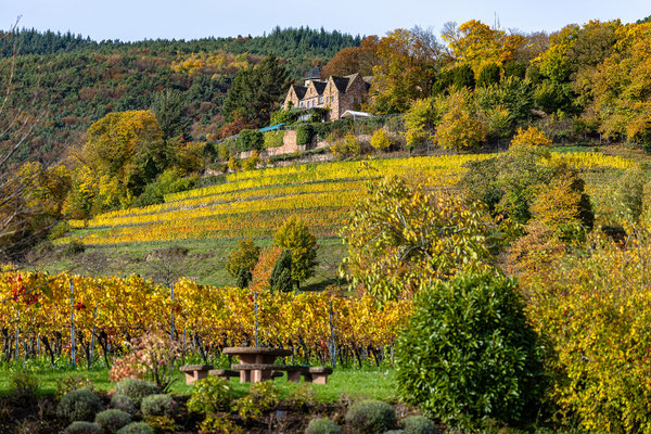 Herbststimmung um Sankt Martin