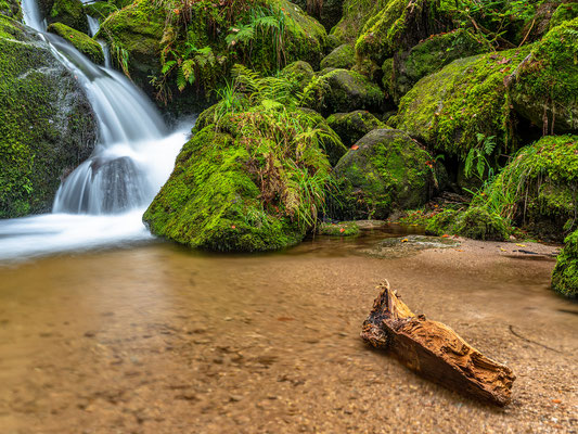 Herbst in der Gertelbachschlucht