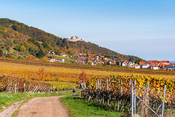 Goldener Herbst bei Sankt Martin