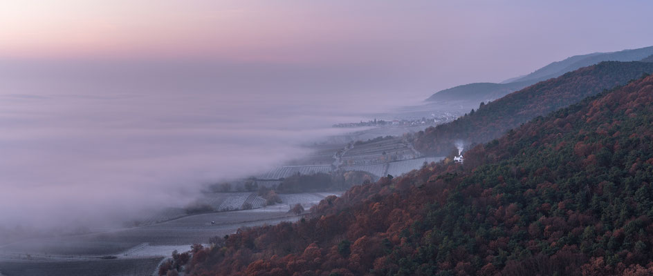 Nebelmorgen am Hambacher Schloss