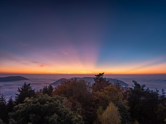 Nebelmorgen am Rehbergturm