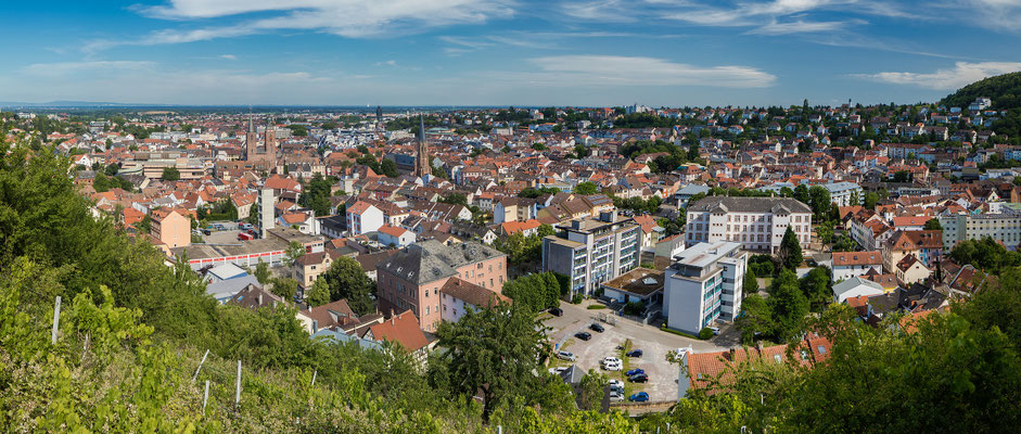 Ausblicke auf Neustadt