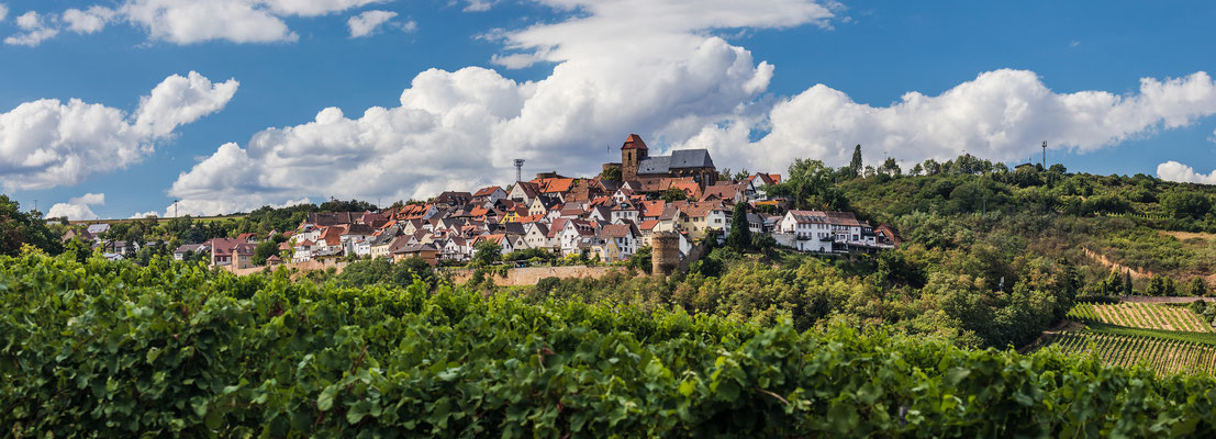 Neuleiningen