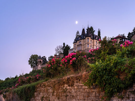 Abendstimmung mit Mond am Haardter Schloss