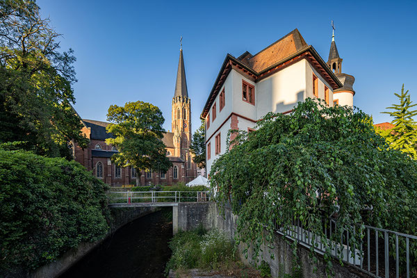 Casimirianum und Marienkirche