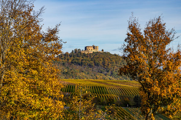 Herbststimmung um Sankt Martin