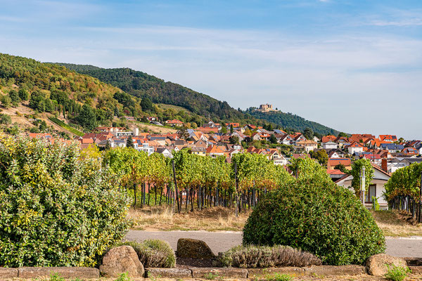 Blick über Sankt Martin zum Hambacher Schloss